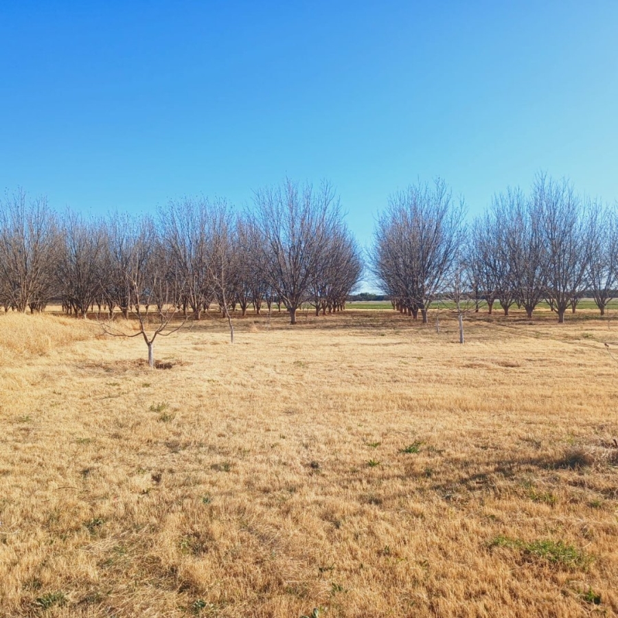  Bedroom Property for Sale in Barkly West Rural Northern Cape
